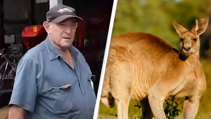 Kangaroo who killed man stood over body and stopped paramedics from trying to save him