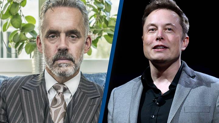 Elon Musk reinstates Jordan Peterson's Twitter account after he was previously banned