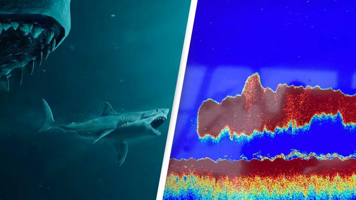 Ocean shark scanners solve mysterious 50-foot long 'megalodon' creature detected in Atlantic