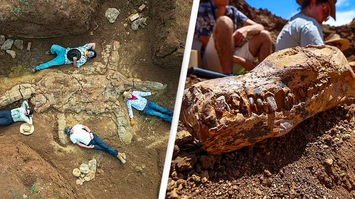 Aussie mates discover 100 million-year-old sea dinosaur during mission to find fossils