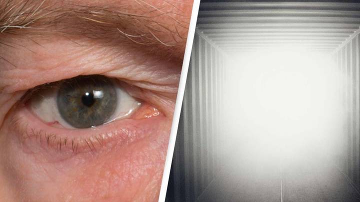Scientific accident suggests life actually does flash before your eyes when you die