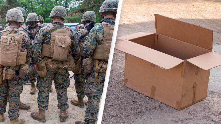 US Marines defeat Pentagon AI test by hiding in cardboard box