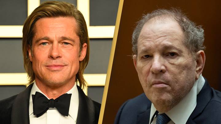 Brad Pitt is getting called out for being part of the Harvey Weinstein exposé 'She Said'