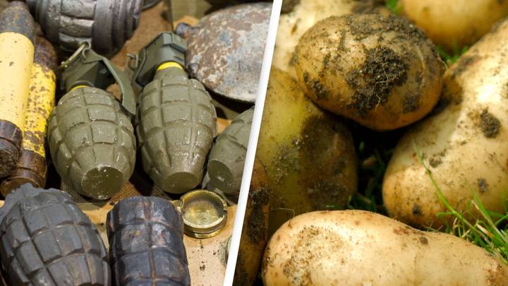 Bomb Squad Called To Chip Factory As Grenade Is Mistaken For ‘Muddy Potato’