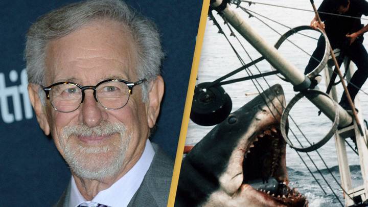 Steven Spielberg apologises to sharks for Jaws