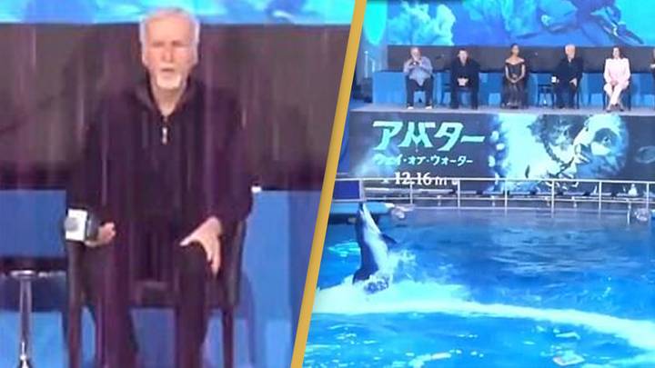 James Cameron slammed for holding Avatar 2 press conference at a dolphin show