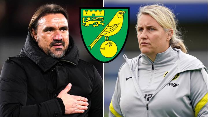 'Quite A Coup' - Emma Hayes Backed As 'Exciting And Fantastic' Managerial Candidate For Norwich City Job