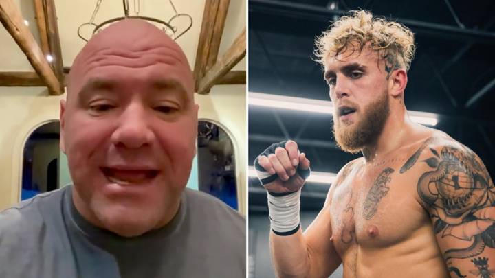 Dana White Verbally Dismantles Jake Paul's 'Retirement' And Cocaine Bet In Viral Overnight Video