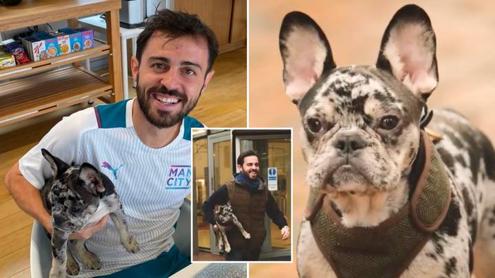 Bernardo Silva Has Named His Dog After A Manchester City Teammate, It's One You're Not Expecting