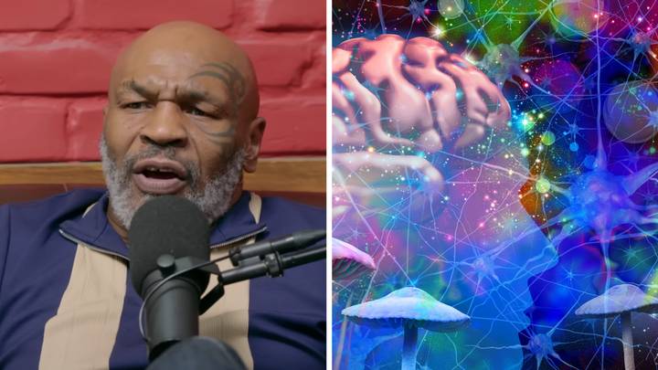 Mike Tyson dreams of being ‘guinea pig’ for psychedelic drug trial