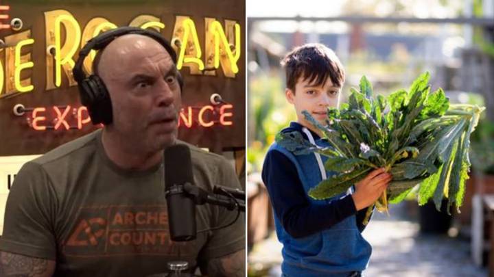 Joe Rogan Goes On Bizarre Rant About 'Proposed' Law In Australia That’s Not Even Remotely Real