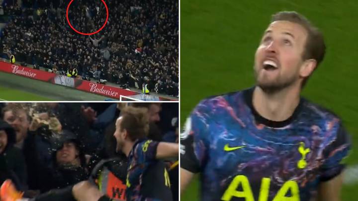 Harry Kane Volleying A Coke Bottle Into Oblivion Is One Of The Greatest Celebrations In Premier League History