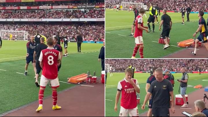 Arsenal fans were very happy with Oleksandr Zinchenko's argument with fourth official