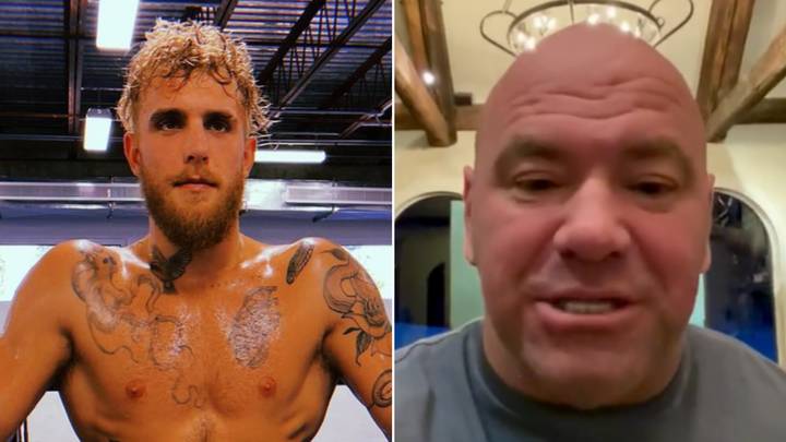 Jake Paul Offered MMA Fight Amid Dana White Beef, His Next Fight Could Be In A Cage
