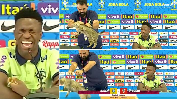 Journalists left gasping after Brazilian media manager throws cat out of press conference