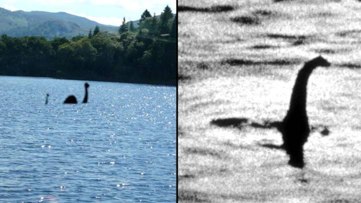 Scientist Offers Bizarre Theory About What The Loch Ness Monster Might Really Be