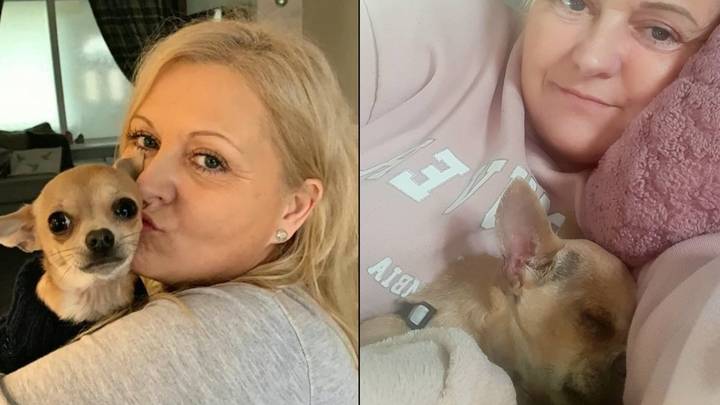 Woman spends three days in hospital after dog pooed on her face while she slept