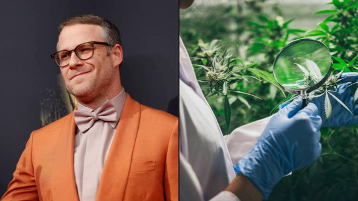 Seth Rogan Weed Table Seth Rogen Believes The World Needs Get Rid Of The 'Stigma' Attached To ...