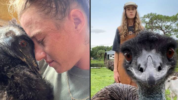 Online sensation Emmanuel the Emu is fighting for his life after deadly avian flu hit his farm