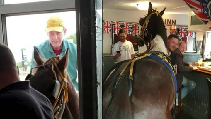 Man Rides Horse Into Pub On Jubilee Weekend Sending Beer Flying