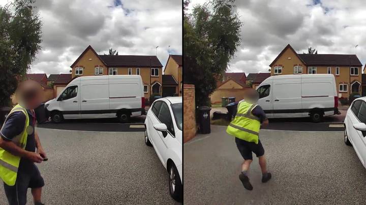 'Dopey' Delivery Driver Chases After Van After It Starts Rolling Off And Smashing Into Bins