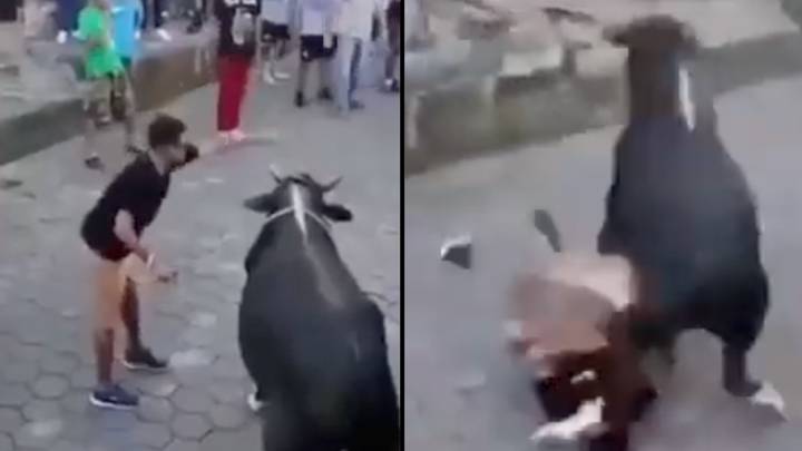 Man gets absolutely decked while trying to taunt bull in the streets