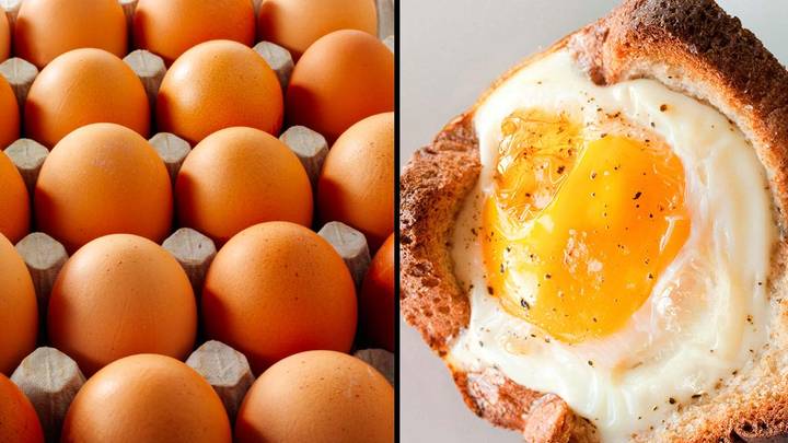 UK 'Weeks Away' From Egg Shortages
