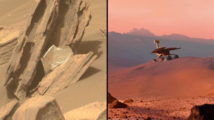 NASA 'Surprised' After Rover Found Human-Made Rubbish On Mars