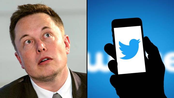 Verified Twitter users say they won’t pay to have the blue tick after Elon Musk revealed how much it’ll cost