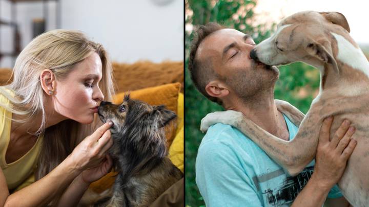 Medical expert explains why you should never kiss your dog on its mouth