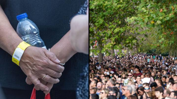People are selling their wristbands from queue for coffin for up to £70k