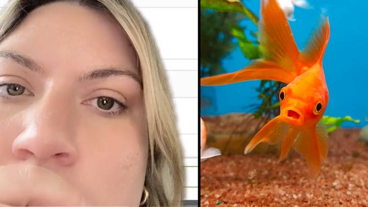 Renter shares disbelief after landlord charges them for keeping goldfish