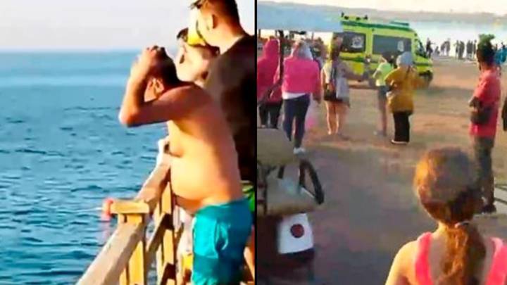 Tourist Says She’s ‘Going Back In For A Moment' Just Before Shark Attack