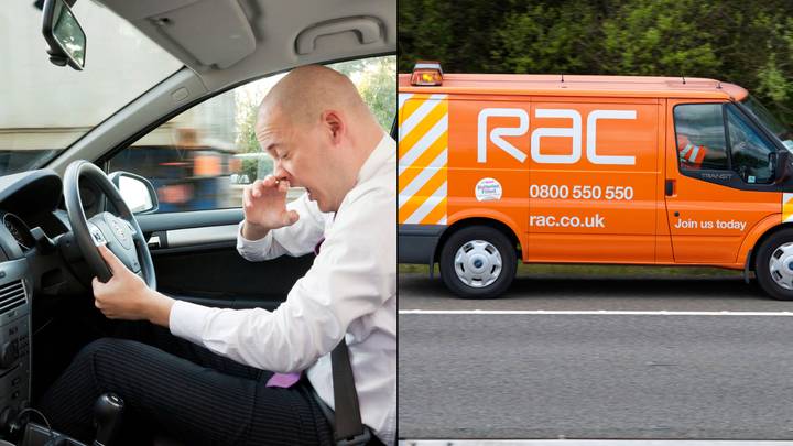 RAC Warns Hay Fever Sufferers They Could Be Arrested If They Drive While Taking Antihistamine Tablets