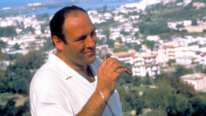 James Gandolfini Gave $33k To Each Of His Sopranos Castmates From His Salary