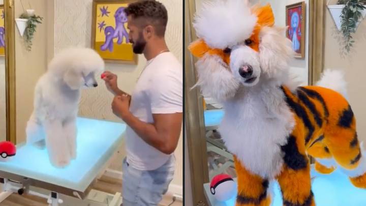 Groomer Transforms Puppy Into A Pokémon And People Have Gone Wild