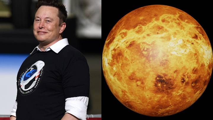 Elon Musk Says Humans Will Land On Mars In 2029