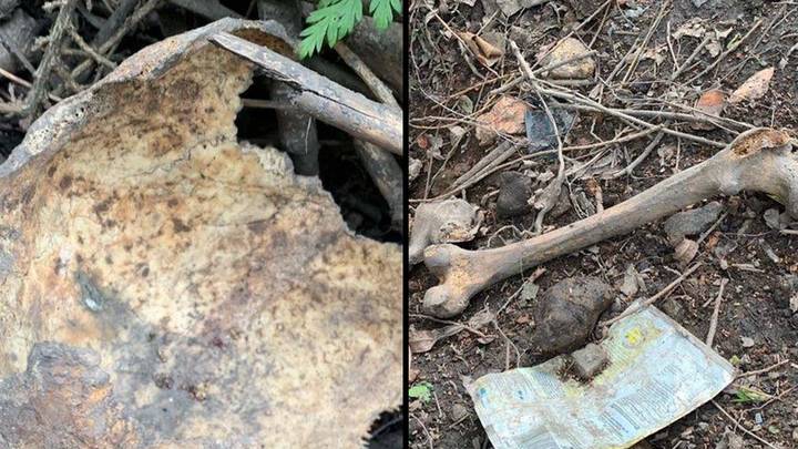 88-Year-Old Woman Horrified After Human Remains Found In Her Garden