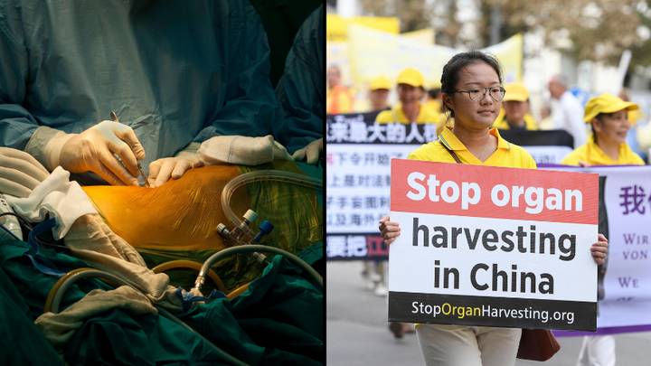 Aussie Expert Believes China Is Harvesting Organs From Living Prison Inmates