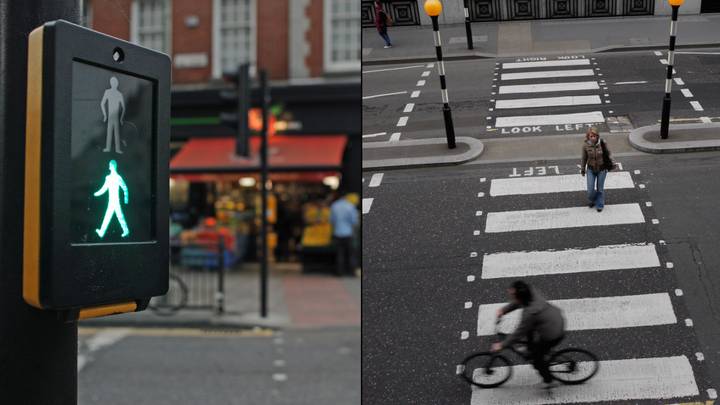 Puffin and Pelican crossings aren’t actually named after birds and people are mindblown