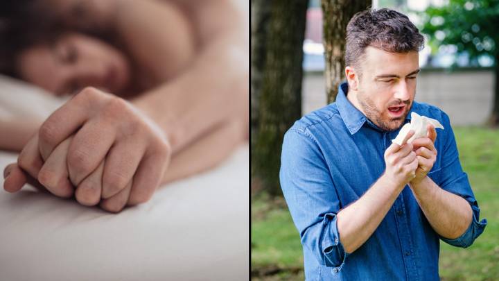 Scientists Believe Sex Can Reduce The Effects Of Hay Fever