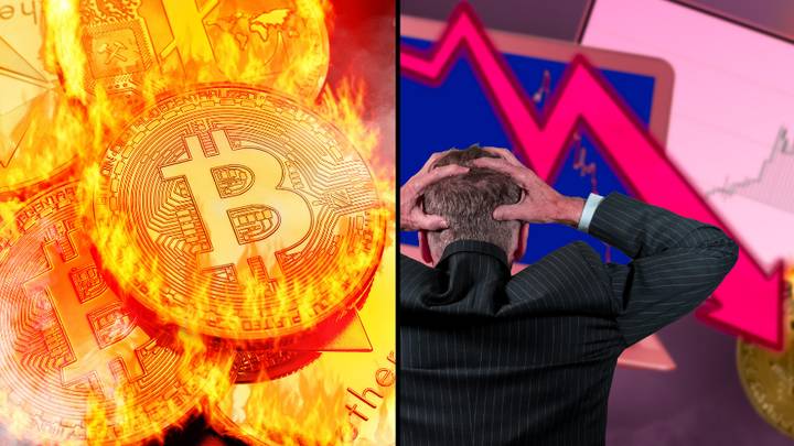 Cryptocurrencies Plummet In Value With Bitcoin Losing 55% Since Its November High