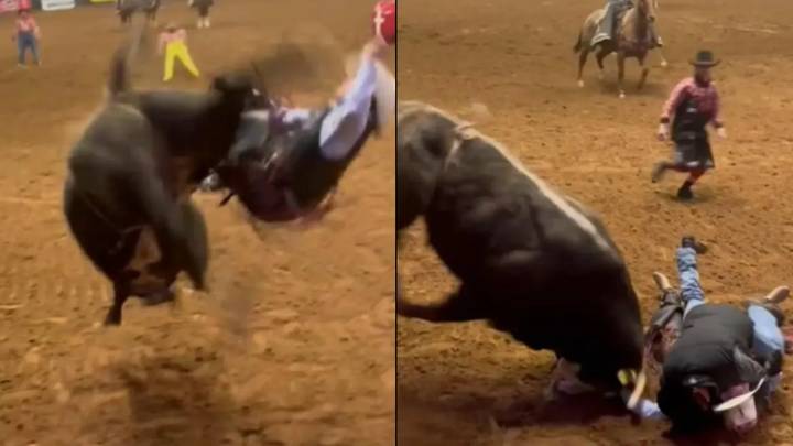 Dad Puts Body On The Line To Protect Son From Rampaging Bull