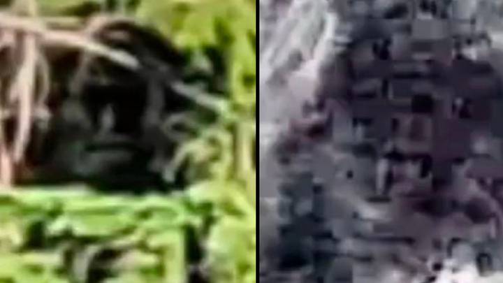 Bigfoot hunter thought his ears would pop as he was tracked and messed with by 'mysterious force'