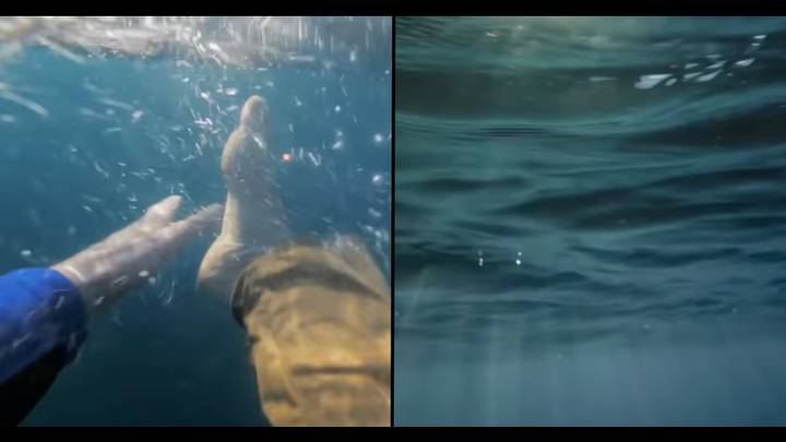 Terrifying simulator shows what it's like to drown