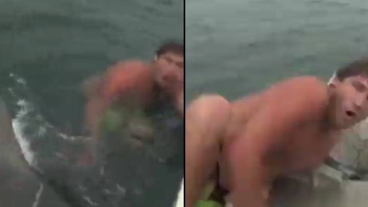 Horrifying Moment Shark Misses Swimmer By Inches In Heart-Stopping Footage