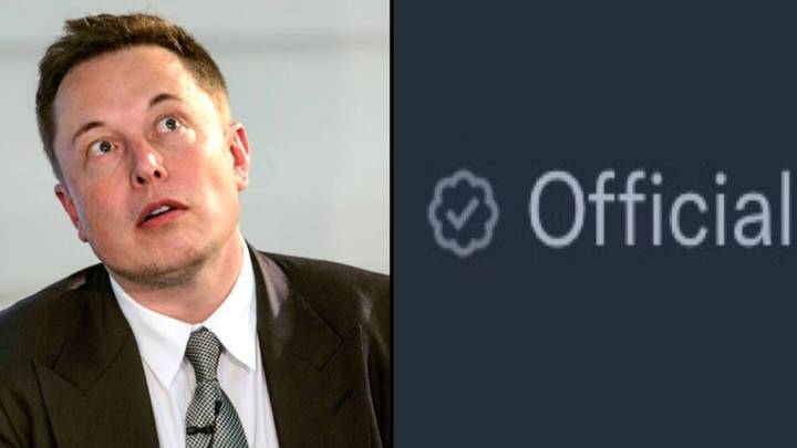 Elon Musk has already scrapped verified Twitter profiles hours after they were implemented