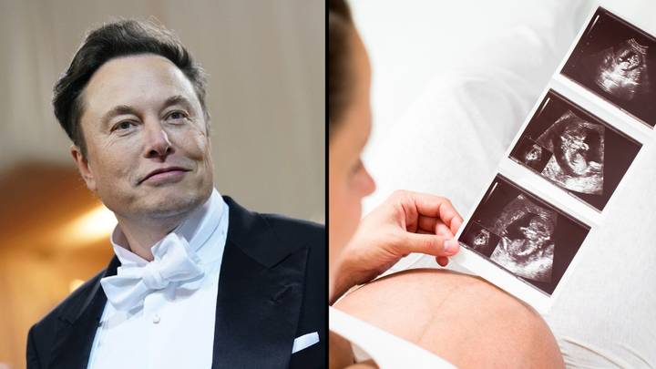 Elon Musk Hits Out Against The Theory That Having Fewer Kids Will Help The Environment