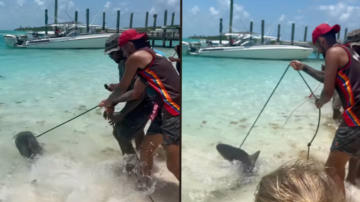 Nick Kyrgios Slammed For 'Torturing' Shark As He Pulls It Towards Shore
