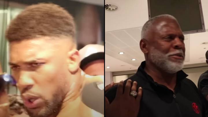 Anthony Joshua furiously lashes out at fan who tells him to 'keep it professional' after fight